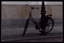 Damka [Dokument ikonograficzny]