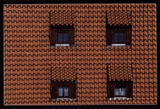 Dach [Dokument ikonograficzny]