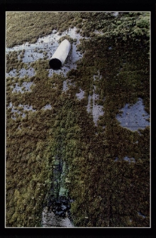 Faktura [Dokument ikonograficzny]