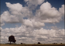 Konkurs miesiąca, styczeń 2001, miejsce 1 [Dokument ikonograficzny]