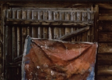 Konkurs miesiąca, styczeń 2001, miejsce 3 [Dokument ikonograficzny]