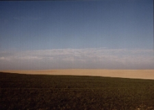 Konkurs miesiąca, styczeń 2001, wyr&oacute;żnienie [Dokument ikonograficzny]