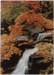 Konkurs miesiąca, luty 2001, wyr&oacute;żnienie [Dokument ikonograficzny]