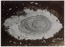 Konkurs miesiąca, kwiecień 2001, wyr&oacute;żnienie [Dokument ikonograficzny]