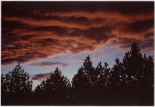 Konkurs miesiąca, czerwiec 2001, miejsce 3 [Dokument ikonograficzny]