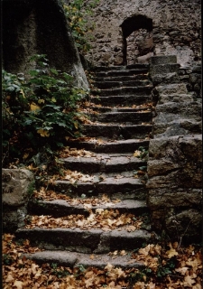 Konkurs miesiąca, marzec 2002, miejsce 3 [Dokument ikonograficzny]