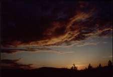 Konkurs miesiąca, czerwiec 2002, miejsce 2 [Dokument ikonograficzny]