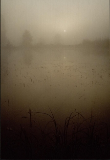 Konkurs miesiąca, październik 2002, miejsce 1 [Dokument ikonograficzny]