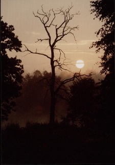 Konkurs miesiąca, październik 2002, wyróżnienie [Dokument ikonograficzny]