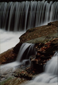 Konkurs miesiąca, grudzień 2002, miejsce 2 [Dokument ikonograficzny]