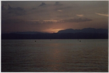 Konkurs miesiąca, listopad 2001, wyr&oacute;żnienie [Dokument ikonograficzny]