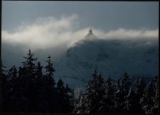 Konkurs miesiąca, styczeń 1995, miejsce 1 [Dokument ikonograficzny]