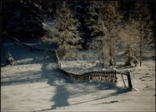 Konkurs miesiąca, styczeń 1995, miejsce 3 [Dokument ikonograficzny]