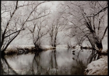 Konkurs miesiąca, luty 1995, miejsce 1 [Dokument ikonograficzny]