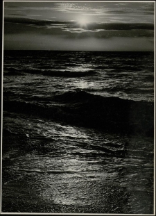 Konkurs miesiąca, marzec 1995, miejsce 2 [Dokument ikonograficzny]