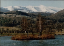 Konkurs miesiąca, kwiecień 1995, miejsce 3 [Dokument ikonograficzny]