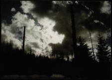 Konkurs miesiąca, maj 1995, miejsce 3 [Dokument ikonograficzny]