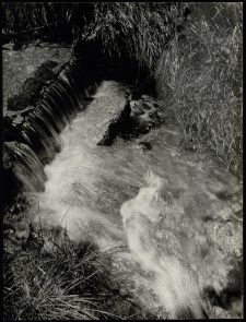 Konkurs miesiąca, czerwiec 1995, miejsce 2 [Dokument ikonograficzny]