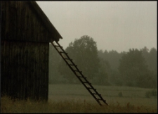 Konkurs miesiąca, lipiec 1995, miejsce 1 [Dokument ikonograficzny]