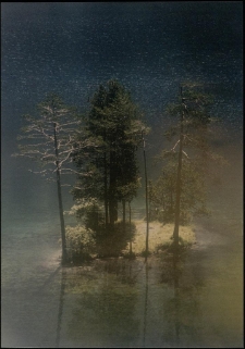 Konkurs miesiąca, październik 1995, miejsce 2 [Dokument ikonograficzny]