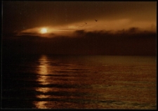 Konkurs miesiąca, styczeń 1997, miejsce 1 [Dokument ikonograficzny]