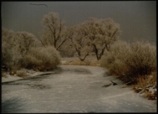 Konkurs miesiąca, styczeń 1997, miejsce 3 [Dokument ikonograficzny]