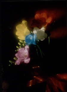 Konkurs miesiąca, luty 1997, miejsce 1 [Dokument ikonograficzny]