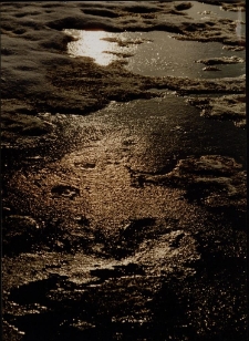 Konkurs miesiąca, luty 1997, miejsce 2 [Dokument ikonograficzny]