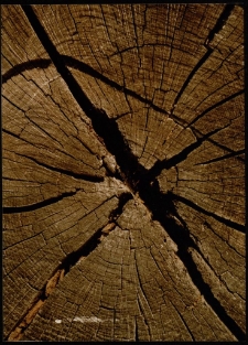 Konkurs miesiąca, luty 1997, miejsce 3 [Dokument ikonograficzny]