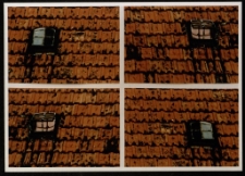 Konkurs miesiąca, marzec 1997, miejsce 1 [Dokument ikonograficzny]