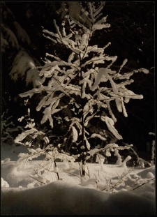 Konkurs miesiąca, marzec 1997, wyr&oacute;żnienie [Dokument ikonograficzny]