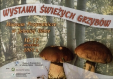 Wystawa Świeżych Grzybów - plakat [Dokument życia społecznego]