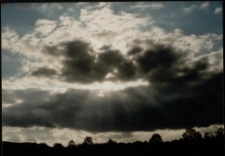 Konkurs miesiąca, lipiec 1997, miejsce 1 [Dokument ikonograficzny]