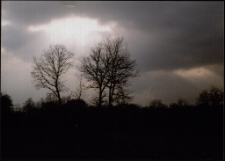 Konkurs miesiąca, sierpień 1997, miejsce 3 [Dokument ikonograficzny]