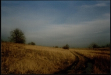 Konkurs miesiąca, listopad 1997, miejsce 1 [Dokument ikonograficzny]