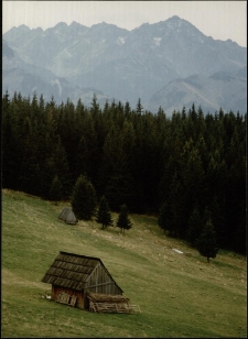 Konkurs miesiąca, grudzień 1997, miejsce 2 [Dokument ikonograficzny]
