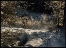 Konkurs miesiąca, styczeń 1996, miejsce 3 [Dokument ikonograficzny]