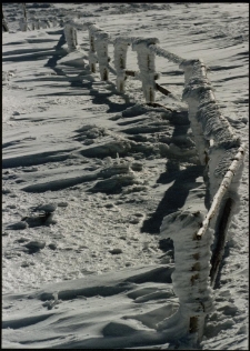Konkurs miesiąca, marzec 1996, miejsce 1 [Dokument ikonograficzny]
