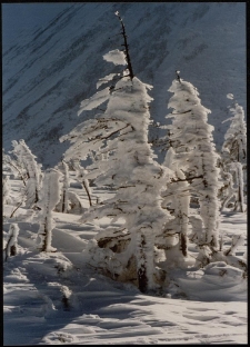 Konkurs miesiąca, kwiecień 1996, miejsce 2 [Dokument ikonograficzny]