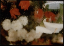 Konkurs miesiąca, maj 1996, wyr&oacute;żnienie 1 [Dokument ikonograficzny]