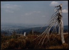 Konkurs miesiąca, sierpień 1996, miejsce 1 [Dokument ikonograficzny]