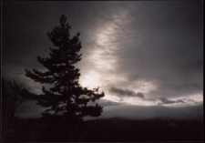 Konkurs miesiąca, styczeń 2005, miejsce 1 [Dokument ikonograficzny]