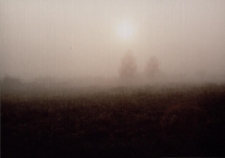 Konkurs miesiąca, luty 2005, miejsce 2 [Dokument ikonograficzny]