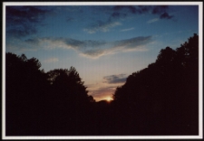 Konkurs miesiąca, marzec 2005, miejsce 3 [Dokument ikonograficzny]