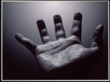 Konkurs miesiąca, kwiecień 2005, miejsce 2 [Dokument ikonograficzny]