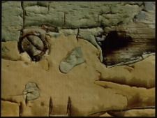 Konkurs miesiąca, kwiecień 2005, miejsce 3 [Dokument ikonograficzny]