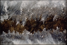 Konkurs miesiąca, kwiecień 2005, wyr&oacute;żnienie [Dokument ikonograficzny]