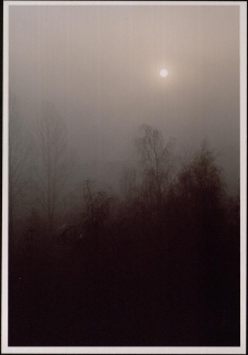 Konkurs miesiąca, maj 2005, wyróżnienie [Dokument ikonograficzny]