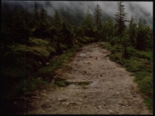 Konkurs miesiąca, sierpień 2005, miejsce 3 [Dokument ikonograficzny]