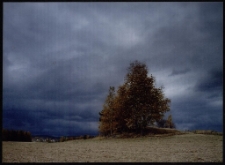 Konkurs miesiąca, grudzień 2005, miejsce 3 [Dokument ikonograficzny]